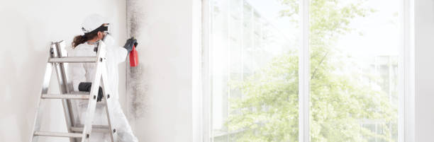 Best Mold Remediation for Healthcare Facilities  in Barrington, NJ